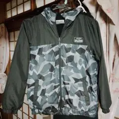 Item thumbnail for item e20dd749-945c-400c-b850-84de36f6bb29