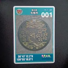 2026年最新】栃木県マンホールカードの人気アイテム - メルカリ