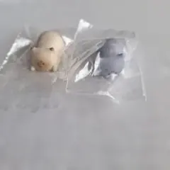 怒ったもふもふの猫ちゃあぁぁん　2点セット