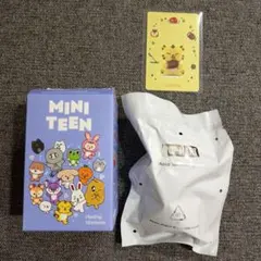 【新品】SEVENTEEN ホシ TAMTAM ミニティーン ポップマート