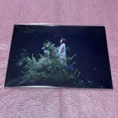 上田麗奈 Nebula パネル サイン入り 2025年最新】上田麗奈 nebulaの人気アイテム - メルカリ