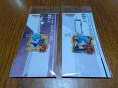 新世紀エヴァンゲリオン はじまりの記憶 図柄 キーホルダー 綾波レイ 2個セット