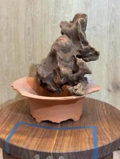 2026年最新】芽の巣山の人気アイテム - メルカリ