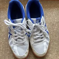 ペプシマン様専用　ASICS 卓球シューズ ホワイト 白　25㎝