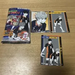 ハイキュー　日向翔陽　影山飛雄　きゃらくたぶるカードグミ　ノーマル　レア