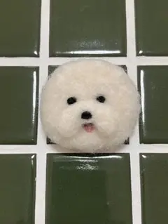 羊毛フェルト　犬　ビションフリーゼ　マグネット