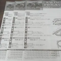 9/5 JRA レーシングプログラム 3