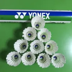 Item thumbnail for item bd6a8206-f3b3-41cf-957c-902113e9636e