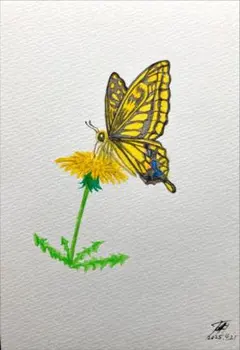 No.38 水彩画 絵画 アート「タンポポと蝶」原画