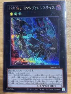2026年最新】奇跡の魔導剣士 シークレットの人気アイテム - メルカリ