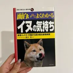 Item thumbnail for item 62b15dac-86eb-4ebb-8aa4-bb7f441ba2d6