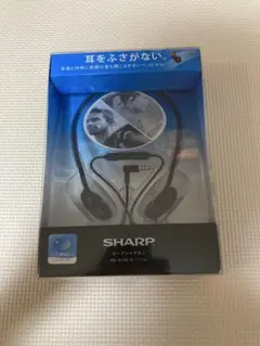 シャープのイヤホンRG-H100-B