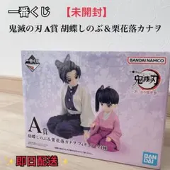 【未開封】一番くじ 鬼滅の刃 A賞 胡蝶しのぶ＆栗花落カナヲ フィギュア