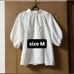 Item thumbnail for item 0d0e1fc2-f665-4a33-bc8a-389933d3ed1f