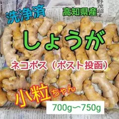 千葉特産 三州生姜 種生姜 400g - メルカリ