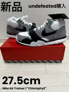 Nike Air Trainer 1 Chlorophyll エアトレーナー