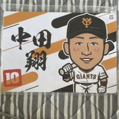 Item thumbnail for item 5e26d82b-7a4e-4c34-bfed-86818207e2a8