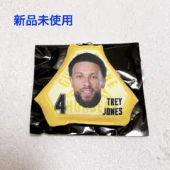 【新品未使用】群馬クレインサンダーズ トレイ・ジョーンズ ミニクッションキー