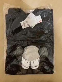 新品未使用UNIQLO KAWS TOKYO FIRST UT XXL