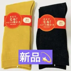 Item thumbnail for item 96ccaf9d-1ab3-4429-9f81-8eacf9161b62