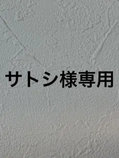 サトシ様専用ページ　指スケ　トラック