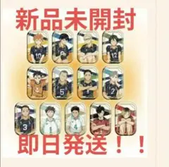 2025年最新】ハイキュー!! セブンネット限定 スクエア缶バッジの