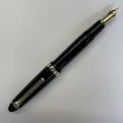 SAILOR PROFIT21 SILVER LEFTY 万年筆 字幅M - メルカリ