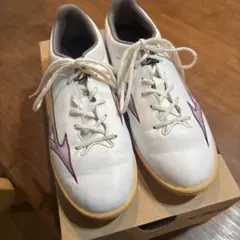 Item thumbnail for item 3057b120-2baa-4ec4-a6fd-811d4c7a6213