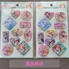 ディズニープリンセス ウォーターシール 2枚セット