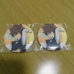 家庭教師ヒットマンREBORN カミアミくじ 沢田綱吉 缶バッジ