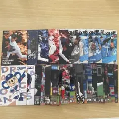 プロ野球チップス トレーディングカード