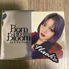HANA Born to Bloom NAOKO トレカ