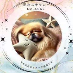 【送料無料❣️】ペキニーズ防水ステッカー ねんねわんこ おほしさまクッション