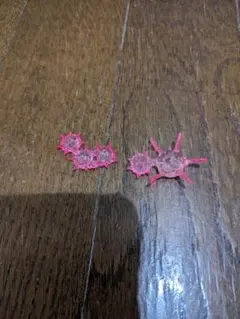 たこ様 リクエスト 2点 まとめ商品