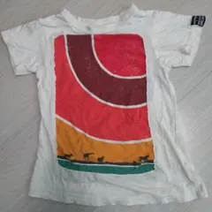 Item thumbnail for item 869cd56e-4a26-4de2-b2fd-c0f145c9e258