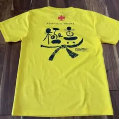 極真空手　Tシャツ　Sサイズのサムネイル