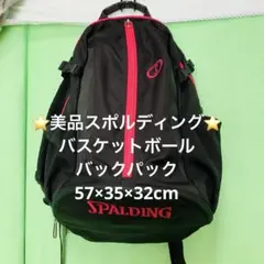 ⭐️美品スポルディング SPALDING バスケットボール バックパック
