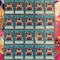 洗脳－ブレインコントロール 20枚セット No.E95