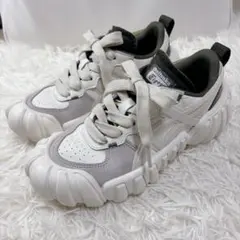 【美品】Onitsuka Tiger DENTIGRE LS クリーム 24.5