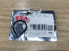田口愛佳 AKB48 向井地美音卒業コンサート カチューシャ風チャームのサムネイル