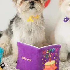 Item thumbnail for item d82eea8d-3fbb-4022-954a-82371b980876