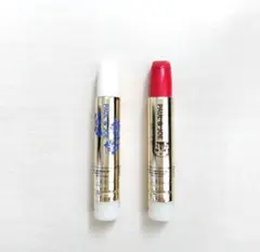 ☆ポールアンドジョー 限定 リップスティック レフィル 2点セット USED品☆