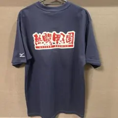 【新品未使用】熱闘甲子園 Tシャツ Lサイズ ネイビー メンズ 人気 レア