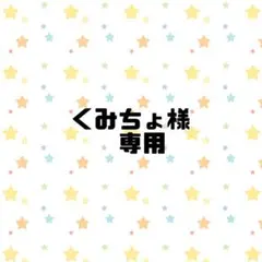 くみちょ様専用ページ