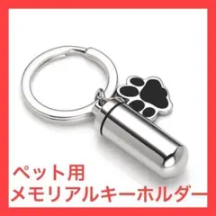 Item thumbnail for item 0ff06e44-ee0c-49b4-a62e-2a643705d173