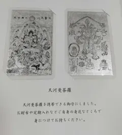 白蛇辨財天 己巳の日 一粒万倍日 限定 御朱印 弁財天 藤 缶バッジ