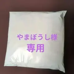 メンズ Ｌサイズ 半袖 前開きシャツ ＆ グンゼ長ズボン下 ブリーフ4枚組