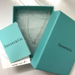 Tiffany & Co. ダイヤモンドモチーフ ネックレス シルバー