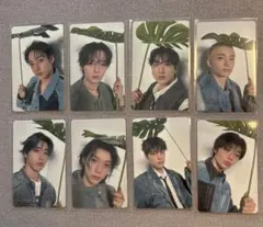 スキズ エコパ11日 会場限定トレカ 通常盤トレカ コンプセット16枚