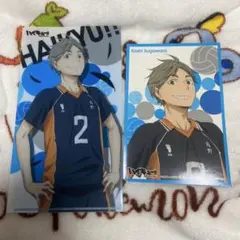 菅原孝支 ハイキュー!!セカンドシーズン スリムクリアファイルコレクション C